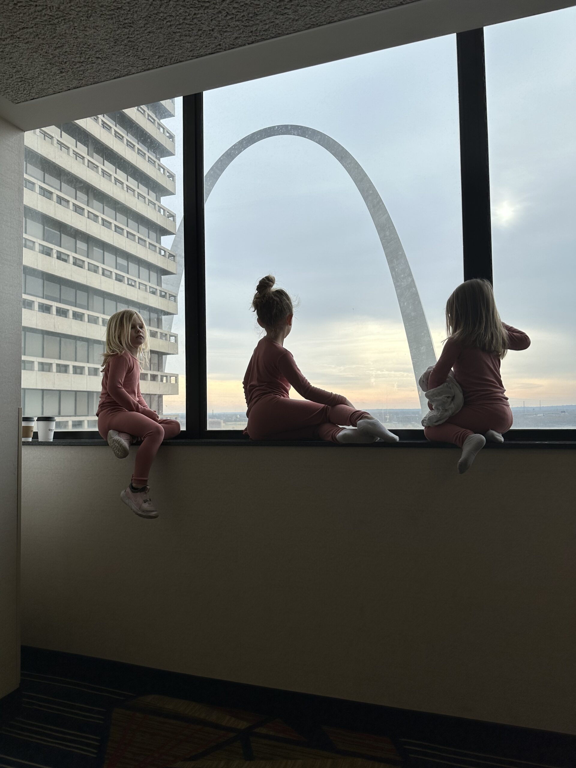 Top Things To Do In St Louis With Kids